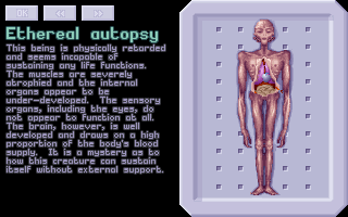 Ethereal Autopsy